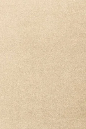 Ковровое покрытие AW Oinone 34 - (5м) в Красноярске