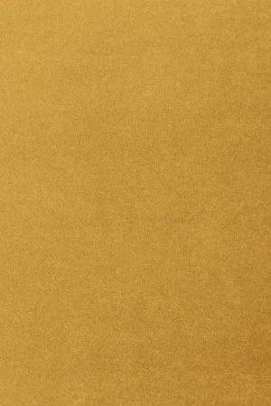 Ковровое покрытие AW Oinone 54 - (5м) в Красноярске