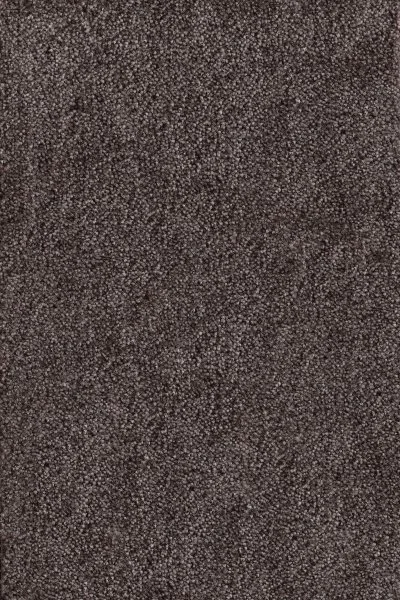 Ковровое покрытие AW Messalina 44 - (4м) в Красноярске