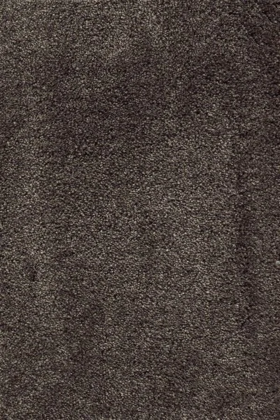 Ковровое покрытие AW Fedone 44 - (5м) в Красноярске