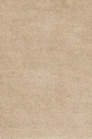 Ковровое покрытие AW Omphale 37 - (5м) в Красноярске