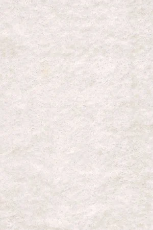 Ковровое покрытие AW Euphoria 03 - (5м) в Красноярске