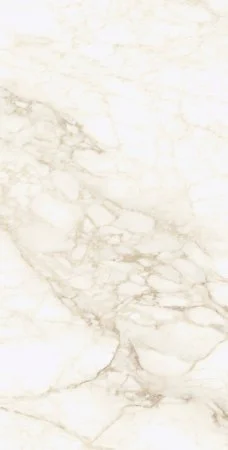 Керамогранит Coliseum Микеланджело Ворм 60х120 (Натуральный и Реттифицированный) в Красноярске