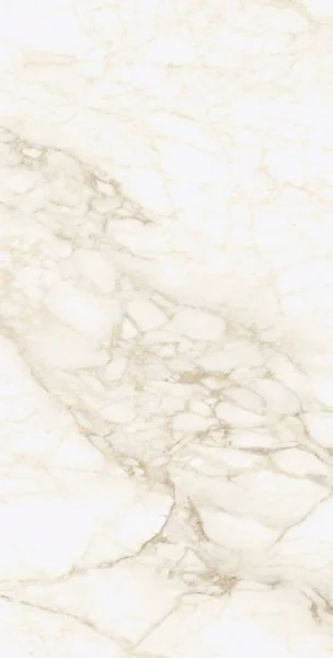 Керамогранит Coliseum Микеланджело Ворм 60х120 (Натуральный и Реттифицированный) в Красноярске