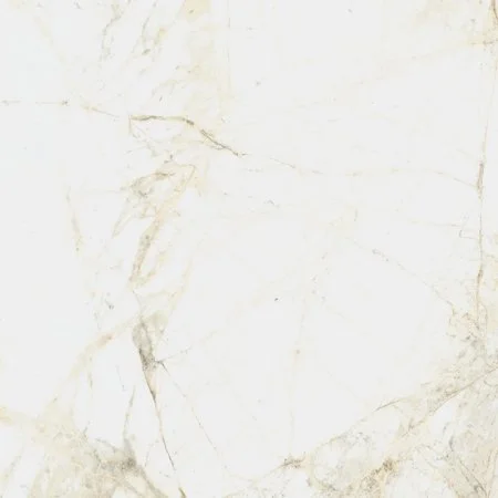 Керамогранит Coliseum Канова Уайт 60х60 (Натуральный и Реттифицированный) в Красноярске