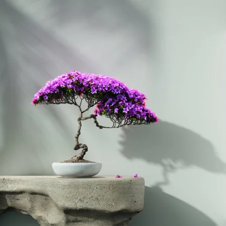 Обои Loymina Lotus LOT1 112 в Красноярске