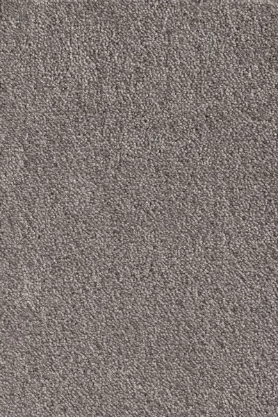 Ковровое покрытие AW Messalina 49 - (5м) в Красноярске