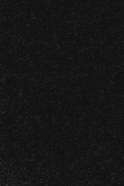 Ковровое покрытие AW Euphoria 99 - (5м) в Красноярске