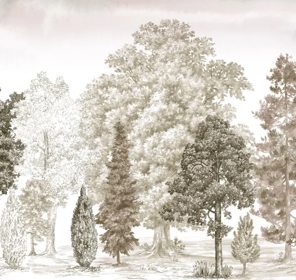 ART14 012 (вблизи)