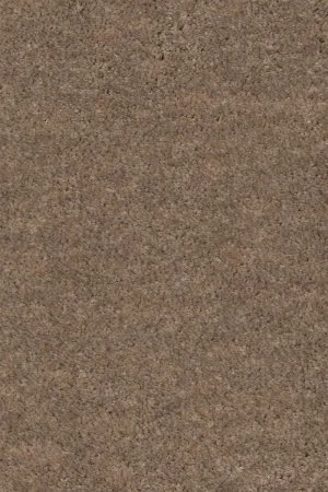 Ковровое покрытие AW Euphoria 36 - (5м) в Красноярске