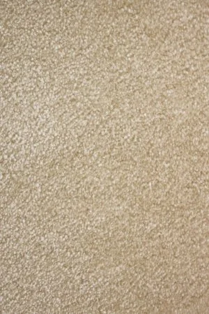 Ковровое покрытие AW Euphoria 33 - (5м) в Красноярске