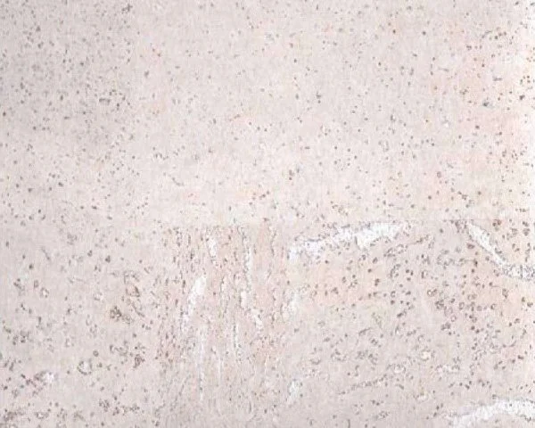 Настенное пробковое покрытие CorkArt PW 386 WS в Красноярске