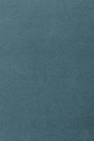 Ковровое покрытие AW Oinone 74 - (5м) в Красноярске