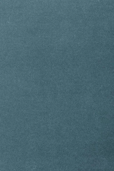 Ковровое покрытие AW Oinone 74 - (5м) в Красноярске