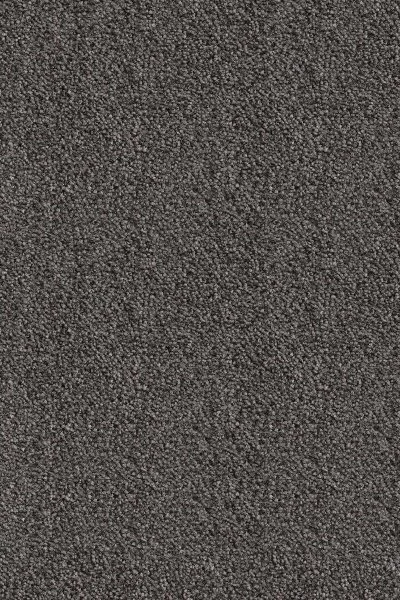 Ковровое покрытие AW Messalina 99 - (5м) в Красноярске