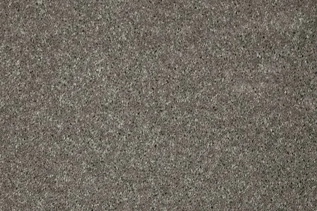 Ковровое покрытие AW Gala 94 - (5м) в Красноярске