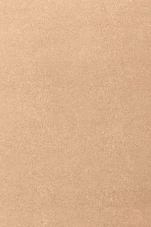 Ковровое покрытие AW Oinone 08 - (4м) в Красноярске