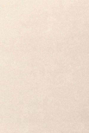 Ковровое покрытие AW Oinone 03 - (5м) в Красноярске