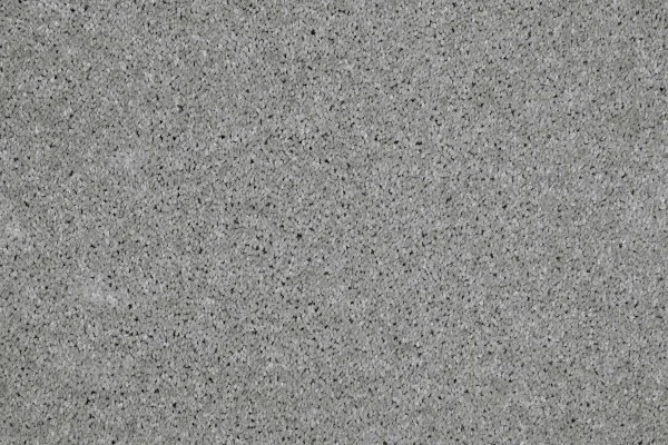 Ковровое покрытие AW Gala 90 - (4м) в Красноярске