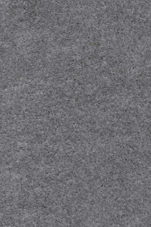 Ковровое покрытие AW Euphoria 95 - (5м) в Красноярске