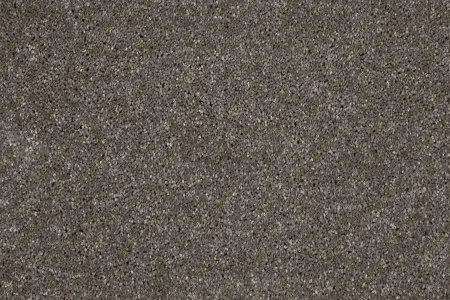 Ковровое покрытие AW Gala 49 - (5м) в Красноярске