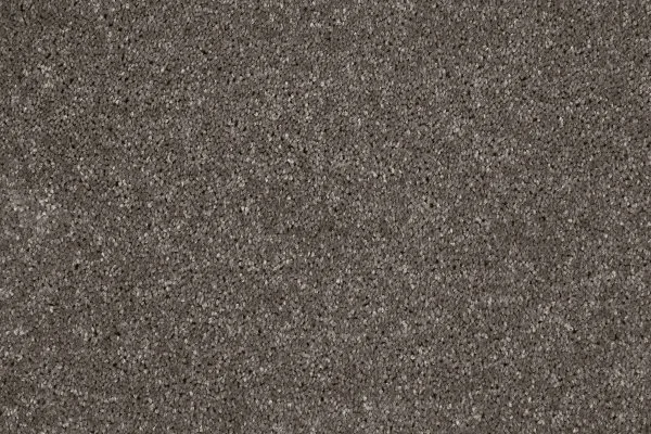 Ковровое покрытие AW Gala 49 - (4м) в Красноярске