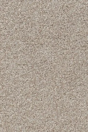 Ковровое покрытие AW Stainguard Harvest 04 - (4м) в Красноярске