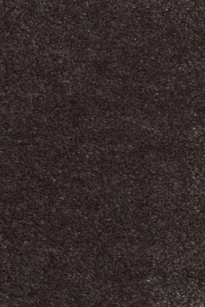 Ковровое покрытие AW Euphoria 43 - (4м) в Красноярске