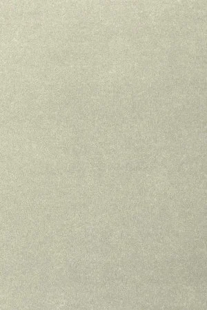 Ковровое покрытие AW Oinone 02 - (4м) в Красноярске