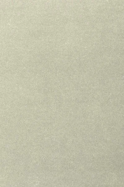 Ковровое покрытие AW Oinone 02 - (4м) в Красноярске