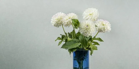 Обои Loymina Shade vol.2 SDR5, 001 в Красноярске