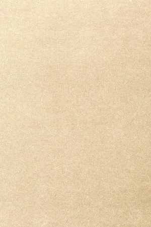 Ковровое покрытие AW Oinone 33 - (5м) в Красноярске