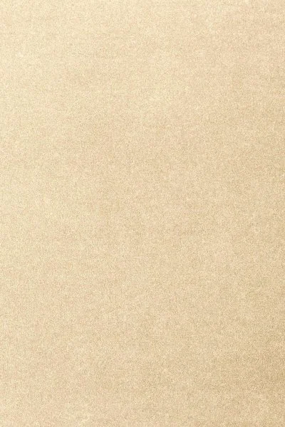 Ковровое покрытие AW Oinone 33 - (4м) в Красноярске