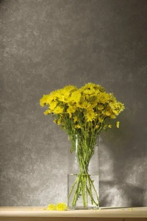 Обои Loymina Golden Library TDG 7, 008 в Красноярске