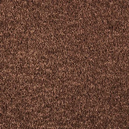 Ковровое покрытие AW Kiama 48 - (5м) в Красноярске