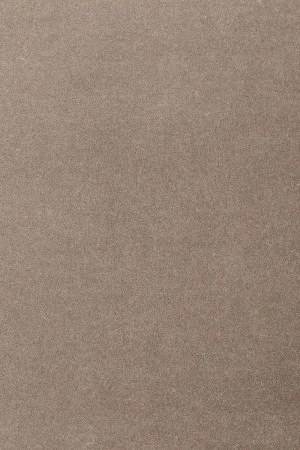 Ковровое покрытие AW Oinone 49 - (5м) в Красноярске