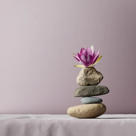 Обои Loymina Textile TXL3 007 в Красноярске