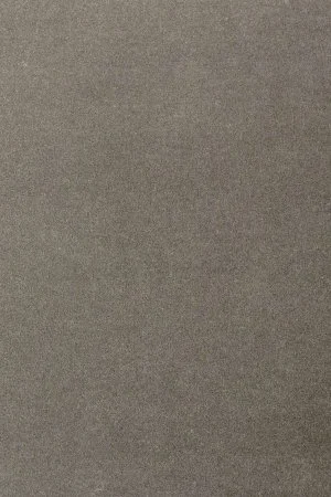 Ковровое покрытие AW Oinone 95 - (4м) в Красноярске