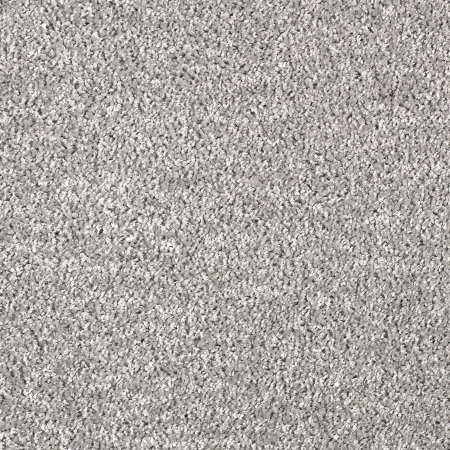 Ковровое покрытие AW Kiama 97 - (5м) в Красноярске