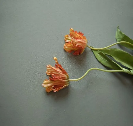 Обои Loymina Russian Classic Ru10, 006 в Красноярске