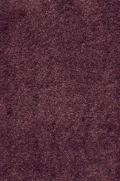 Ковровое покрытие AW Fedone 19 - (5м) в Красноярске