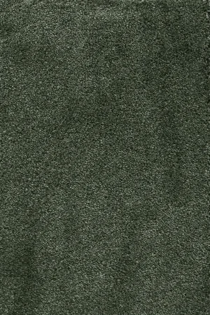 Ковровое покрытие AW Fedone 24 - (5м) в Красноярске