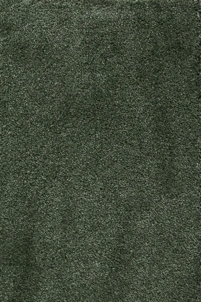 Ковровое покрытие AW Fedone 24 - (5м) в Красноярске