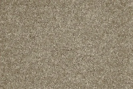 Ковровое покрытие AW Gala 33 - (5м) в Красноярске