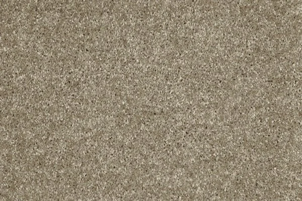 Ковровое покрытие AW Gala 33 - (4м) в Красноярске