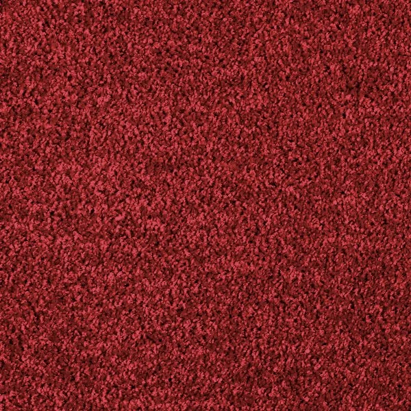 Ковровое покрытие AW Kiama 11 - (4м) в Красноярске