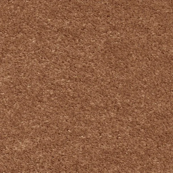 Ковровое покрытие AW Euphoria 84 - (5м) в Красноярске