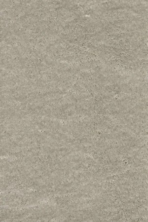 Ковровое покрытие AW Fedone 90 - (5м) в Красноярске