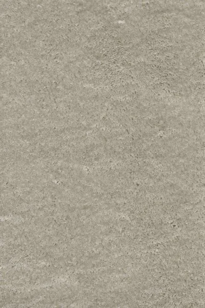 Ковровое покрытие AW Fedone 90 - (4м) в Красноярске