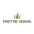 Искусственная трава Prettie Grass в Красноярске